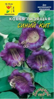 Кобея Синий Кит