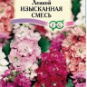 Левкой Изысканная Смесь