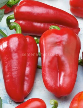 Перец Фаст F1