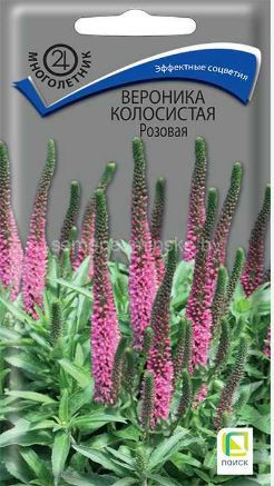 Вероника Розовая 