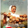 Лук Погарский Местный улучшенный