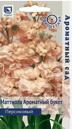 Левкой Ароматный Букет Персиковый