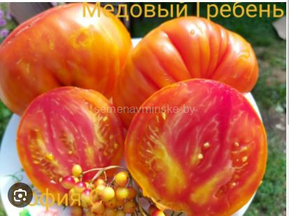 Томат Медовый Гребень