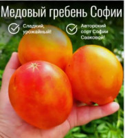 Томат Медовый Гребень Софии