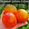 Томат Медовый Гребень Софии