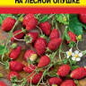 Земляника На Лесной Опушке