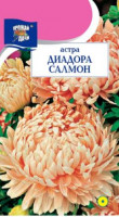 Астра Диадора Салмон