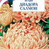 Астра Диадора Салмон