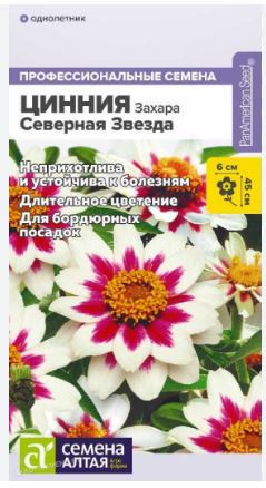 Цинния Захара Северная Звезда