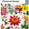 Цинния Захара Северная Звезда