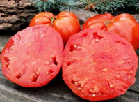 Томат Нови Ханк Пинк