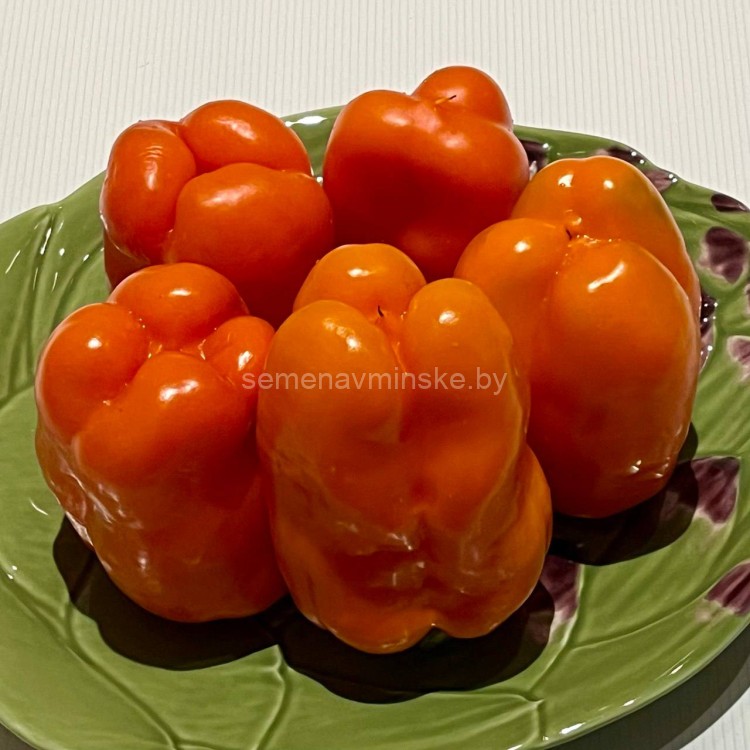 Перец Ариана