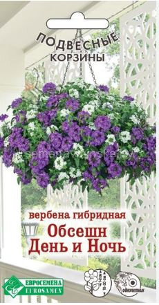Вербена Обсешн День и Ночь