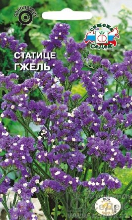 Статице Гжель