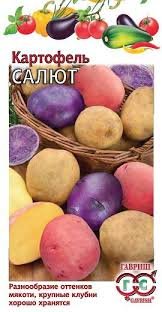 Картофель Салют