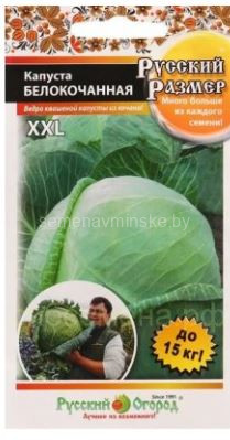 Капуста белокачанная Русский Размер