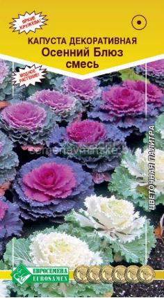 Капуста декоративная  Осенний Блюз, смесь