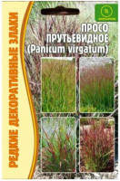 Просо Прутьевидное Panikum Virgatum