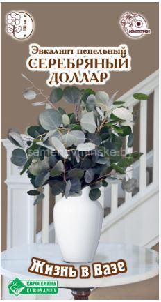 Эвкалипт Серебряный Доллар ( ЕвроСемена )