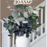 Эвкалипт Серебряный Доллар ( ЕвроСемена )