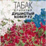 Табак крылатый Ковер F2