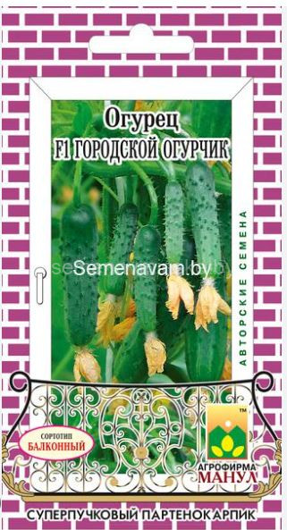 Огурец Городской Огурчик F1