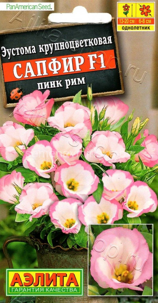 семена цветов купить в минске