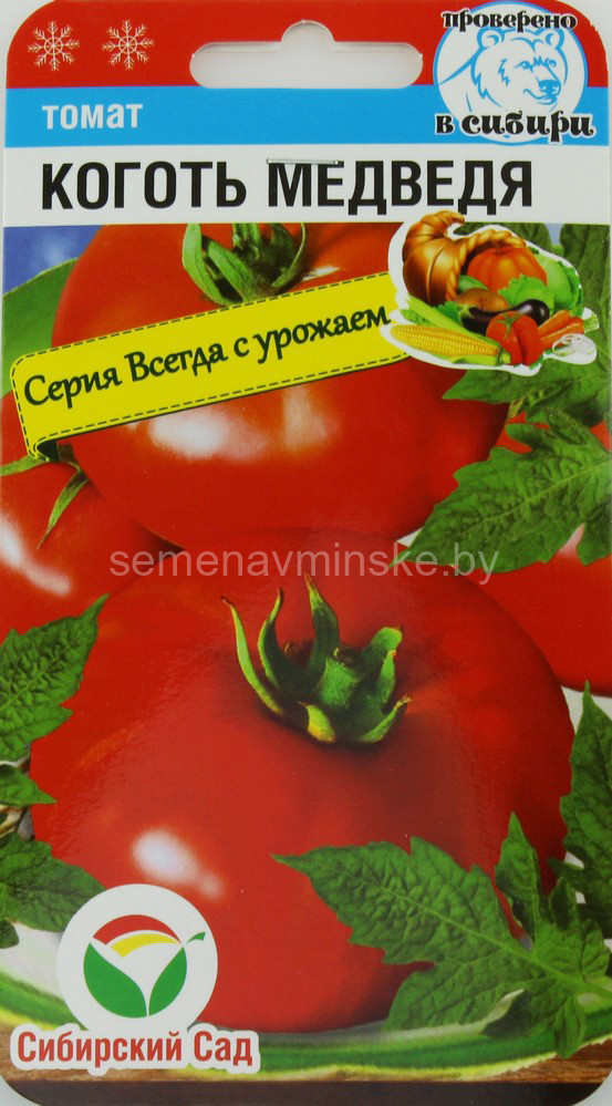 Томат Канары Отзывы Фото Урожайность