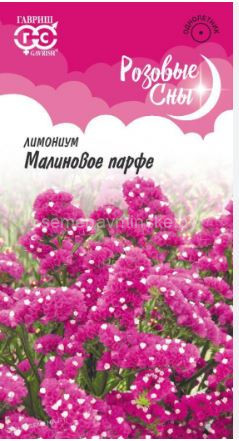 Статица Малиновое Парфе