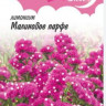 Статица Малиновое Парфе