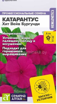 Катарантус Хит Вейв Бургунди