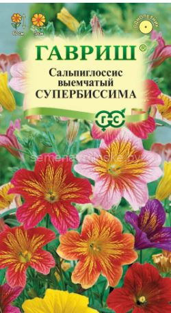 Сальпиглоссис Супербиссима
