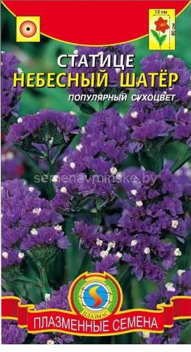 Статица Небесный Шатер