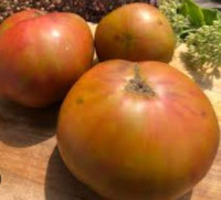 Томат Раскрашенный Поросенок