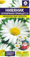 Нивяник Серебряная Принцесса