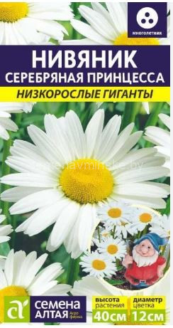 Нивяник Серебряная Принцесса