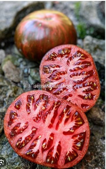 Томат Кровавая Луна