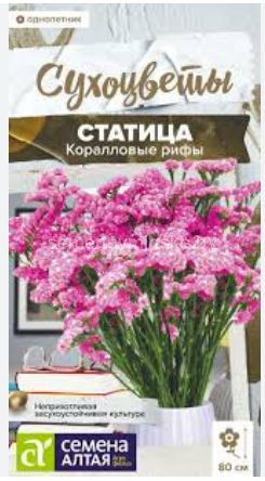 Статица Коралловые Рифы