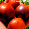 Томат Огненная Катя