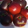 Томат Огненная Катя
