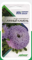Астра Хризантелла Лунный Камень