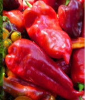 Перец Айварский