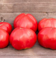 Томат Алый Парус