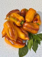 Перец Желто - фиолетовые Когти