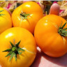 Томат Прелесть