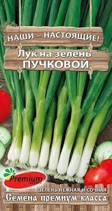 Лук на зелень Пучковой