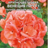 Пеларгония Венеция Пич