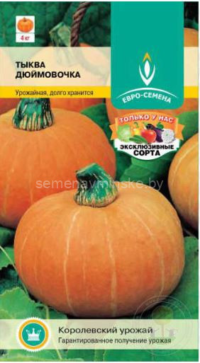 Тыква Дюймовочка
