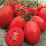 Томат Тарасенко  - 3