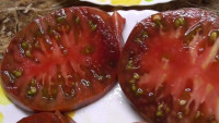 Томат Гигант Кубы 